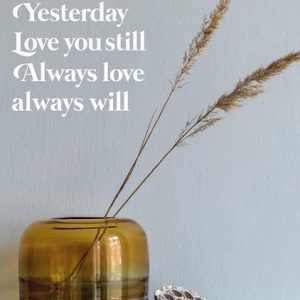 Minikaart Loved you yesterday