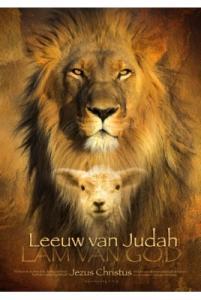 Poster A3 leeuw van judah