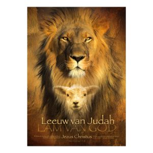 Poster A3 leeuw van judah