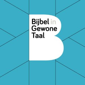 BGT Paperback (blauw)