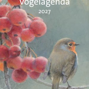 Vogel Agenda 2027