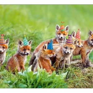 Ansichtkaart Vosjes met feesthoedjes op