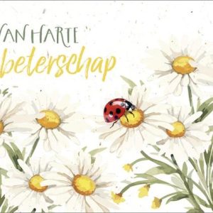Dubbele kaart - Van Harte Beterschap margrietjes