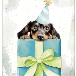 Dubbele kaart - Tekkeltje met feesthoedje op cadeautje