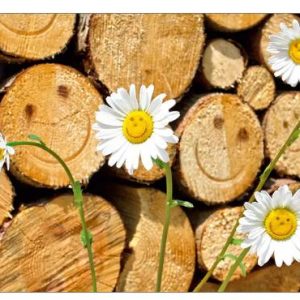 Ansichtkaart - Houtstronken met smileys en bloemetjes