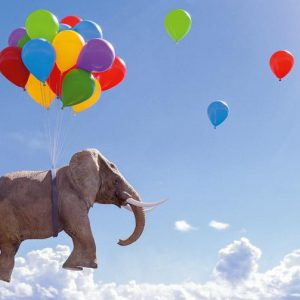 Dubbele kaart - Olifant in de lucht met ballonnen