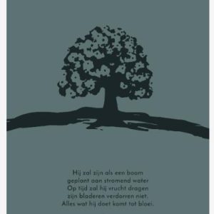 Ansichtkaart Hij zal zijn als een boom