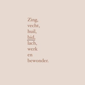Zing vecht huil